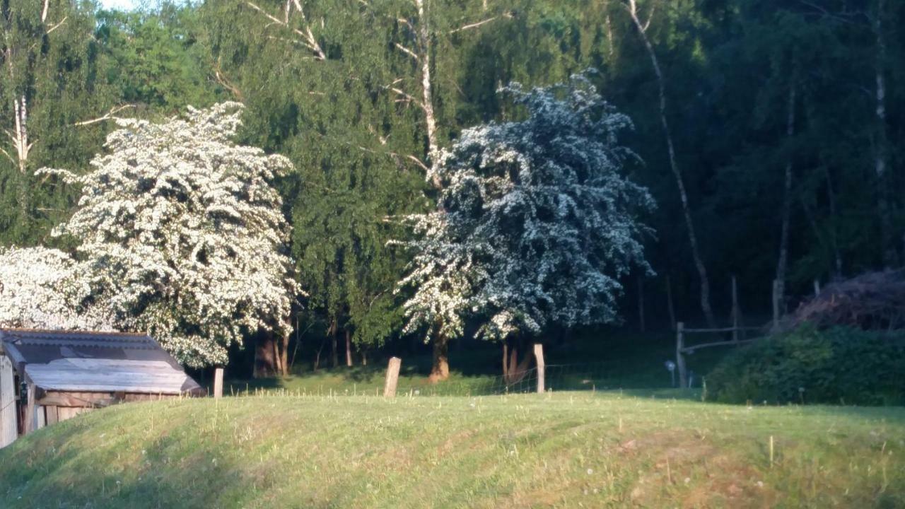 Thallwitz Zimmervermietung Am Holzberg מראה חיצוני תמונה
